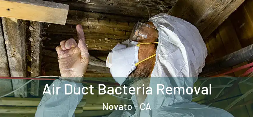  Air Duct Bacteria Removal Novato - CA