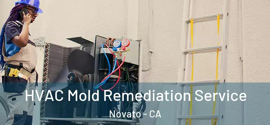  HVAC Mold Remediation Service Novato - CA