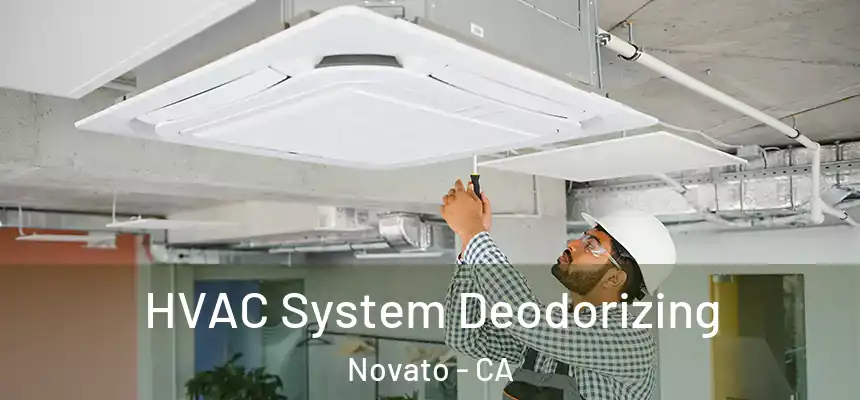  HVAC System Deodorizing Novato - CA