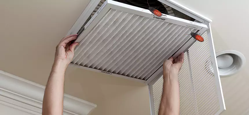 Preventive Cockroach-Proofing for Ducts in Novato
