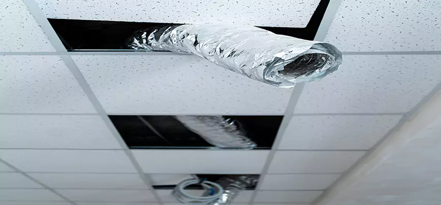 Affordable HVAC Sanitizing After Pest Removal in Novato