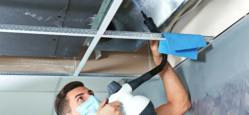 Our Air Duct Rodent Removal Services in Novato, CA