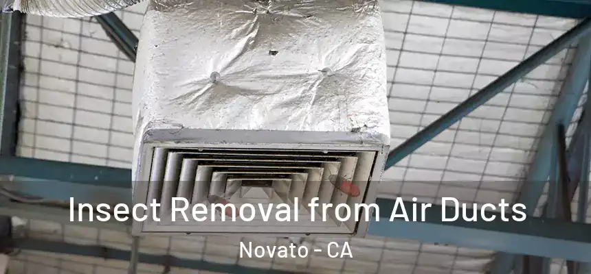  Insect Removal from Air Ducts Novato - CA