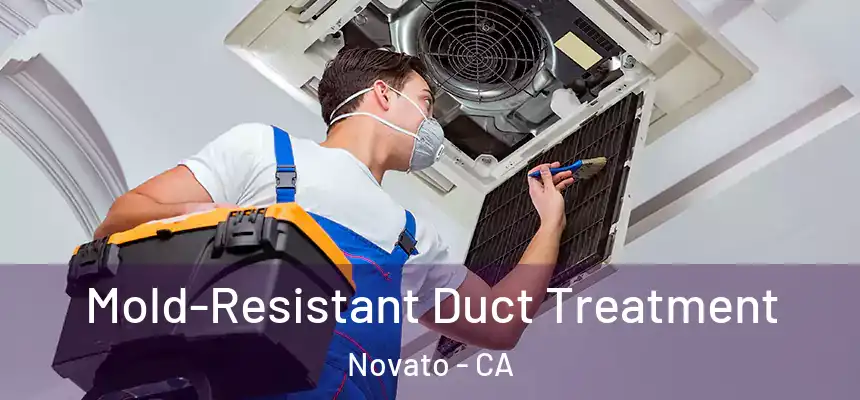  Mold-Resistant Duct Treatment Novato - CA