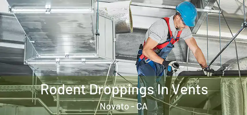  Rodent Droppings In Vents Novato - CA