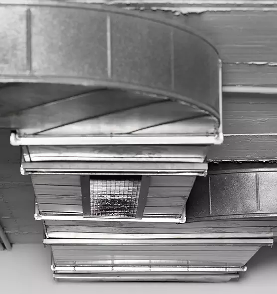 Professional Air Duct Pest Removal in Novato, CA