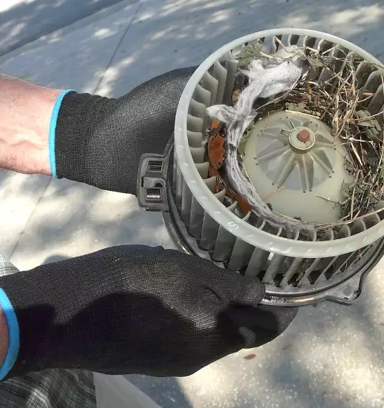 About Air Duct Rat Removal in Novato, CA