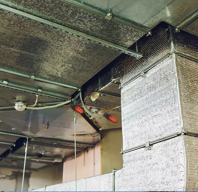 Why Homeowners & Businesses Trust Us in Novato, CA?