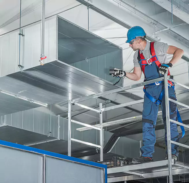 Why Homeowners & Businesses Trust Us in Novato, CA?