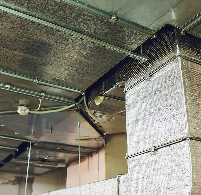 Why Homeowners & Businesses Trust Us in Novato, CA?