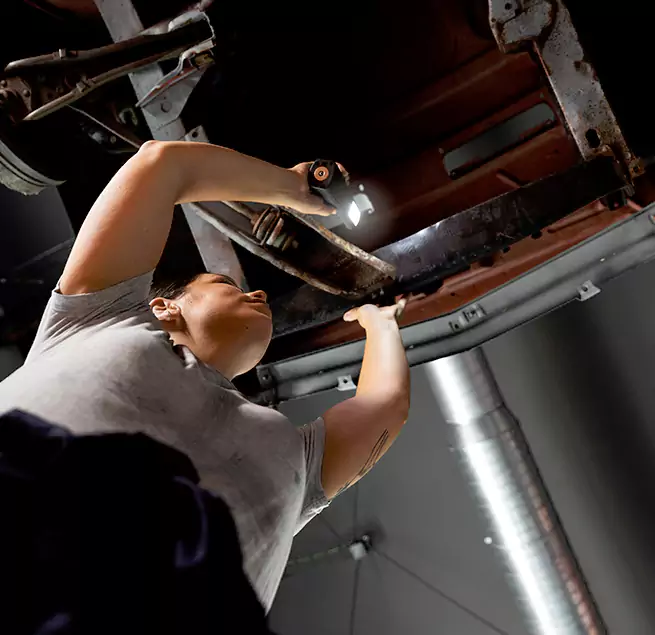 Why Homeowners & Businesses Trust Us Novato, CA