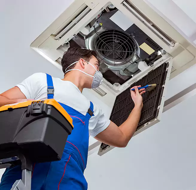 Why Homeowners & Businesses Trust Us in Novato, CA?